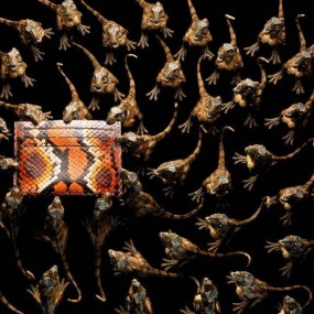 全球摄影网美图欣赏