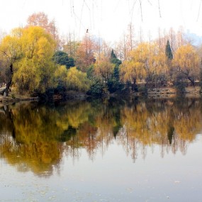 周末闲游兴庆公园；