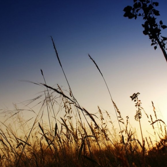 来了这么久，发个报到帖