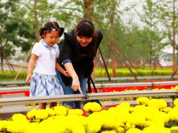 我家小妞报名了