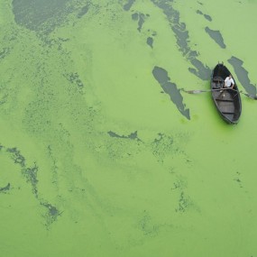 大好河山——之安徽巢湖