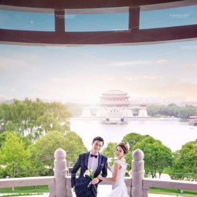 西安柠檬树一刻钟的美丽，一生的承诺