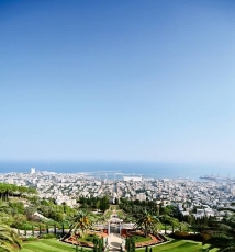 混合味儿地中海