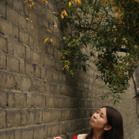 新手活动作品，请指点