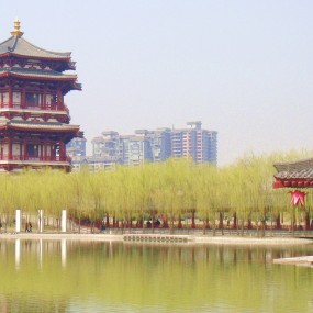 西安大雁塔（菜鸟+家用照相机）