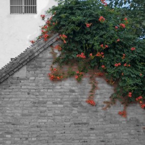 【七月垄上行】