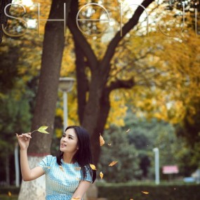 秋叶黄·校园风