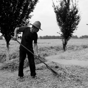 西部乡村影像（73）