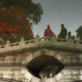 鱼跃龙门戏瑶池