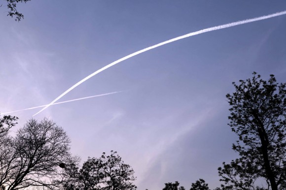 随拍小品，请大家评点