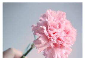 心情不好，很烦躁 。 发个贴子透透气……