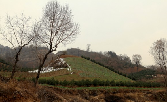 老袁习作（14）