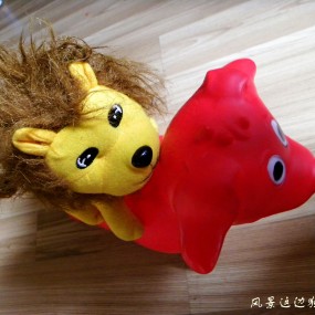 我的好玩伴（创意摄影）