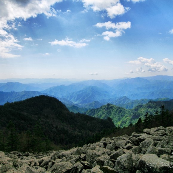 太白  （五月）