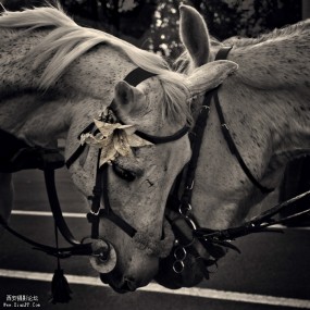 厚重圣彼得堡：Gennadi Blohin作品赏析（一）