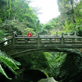 【在绿色山谷】