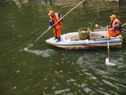 《给你更清的河流》