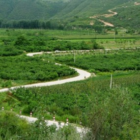 ——黄龙县无量山莲云寺——