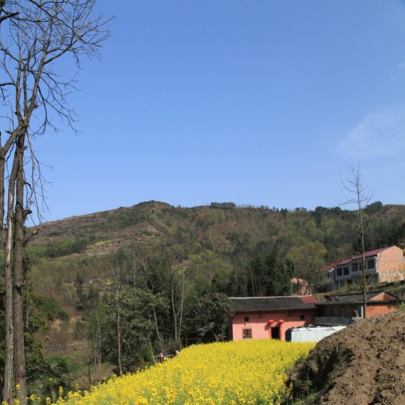 江阴；‘双河镇’（风景）