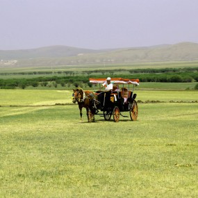 呼伦贝尔大草原随拍
