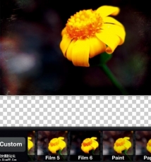 一键式效果APP推荐