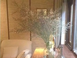 袁立的家原来是这样的