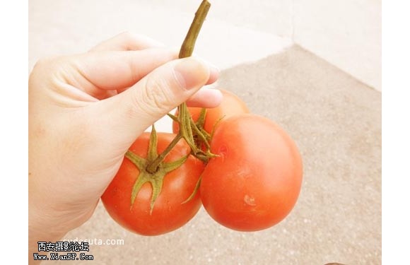 我印象中的夏天