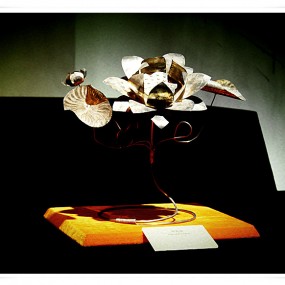 雨中游法门寺（二）