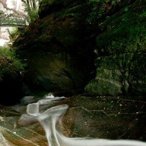 镇安-木王森林公园