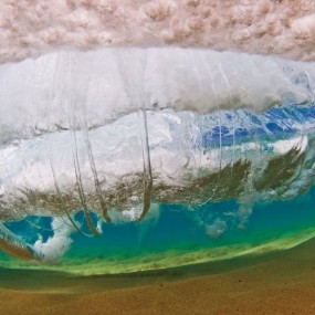 2010国际最佳自然奖获奖作品公布