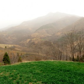 山村里的老奶奶
