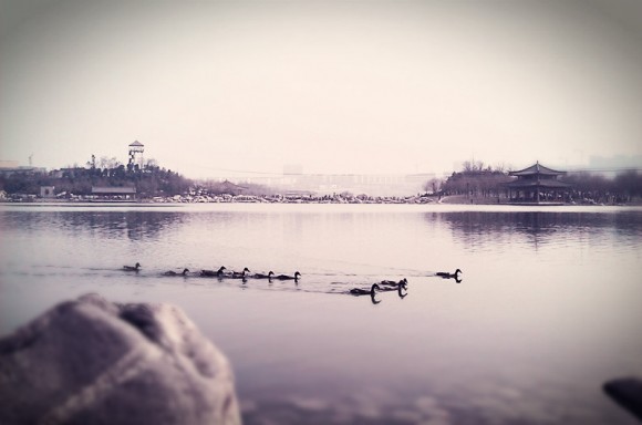 镜子乱拍&春江水暖鸭先知