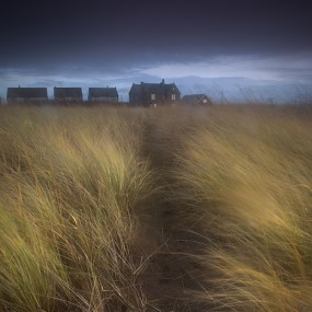 野旷天低处，草树色惊人