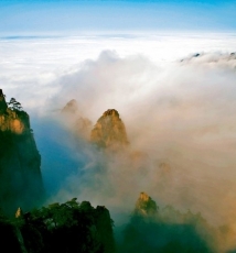 五位将军的摄影故事