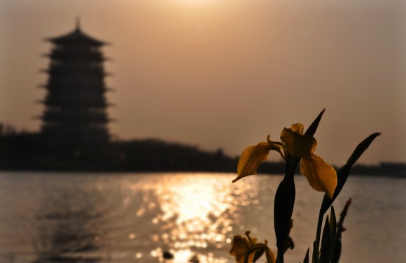 世博园夕阳西下