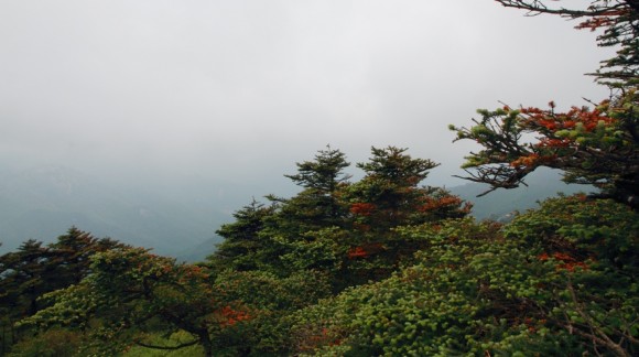 横看成岭侧成峰《五》