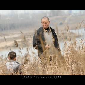 芦苇荡里的童年