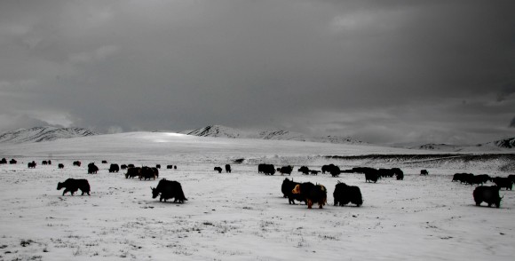 七月天翻越阿尼玛卿雪山