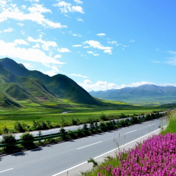 新手  一组青海行图