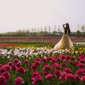 沣东农博园人像拍摄