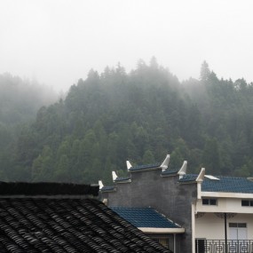 七月采风季之十二  井冈山2