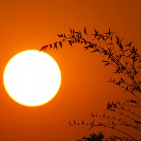 云游四方 耐心守候 用心构图