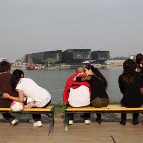 世园会参赛作品，《情》