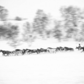 坝上的冬季，像丹青水墨