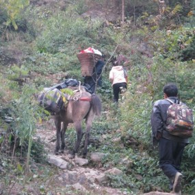 当我们开着车，坐着车，还感到不舒服，比谁的车好时，你可曾想到，看到