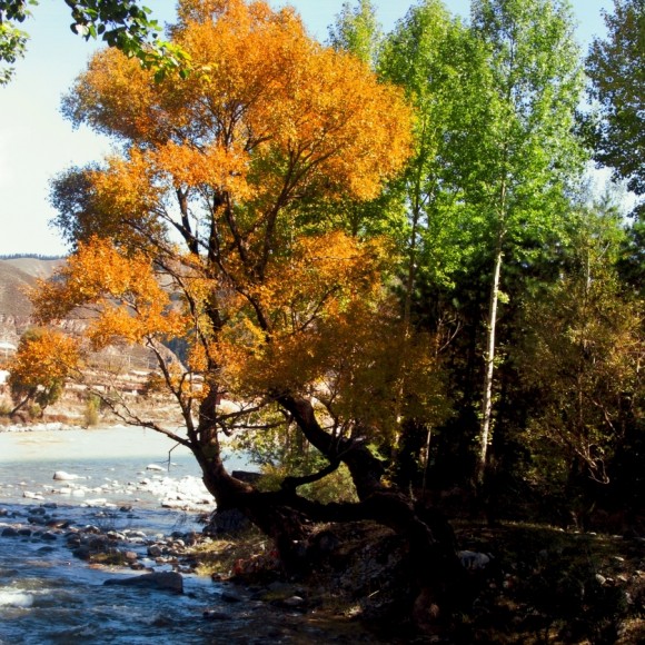 摄影人---旭日阳光