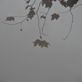 西安北郊大雾浓罩，景美但能见度极低，祝愿朋友们安全出行！