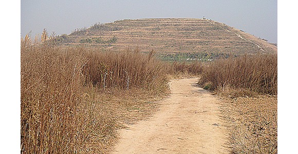 杜陵塬上秋景美