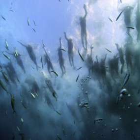 第55届世界新闻摄影大赛揭晓