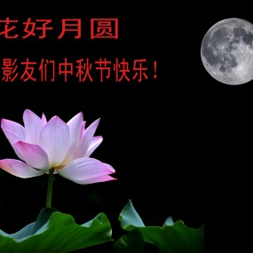 【花好月圆】祝影友中秋节快乐